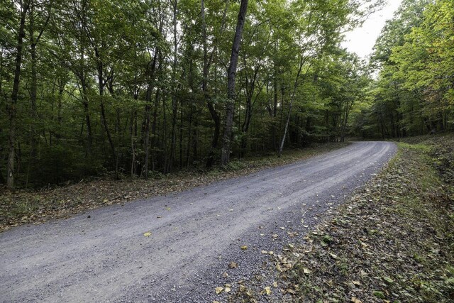 LOTD3 Holiday Hill Rd, Luray, VA 22835
