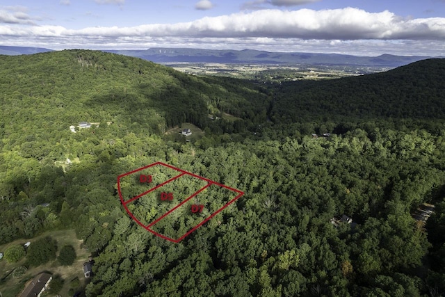 LOTD3 Holiday Hill Rd, Luray, VA 22835