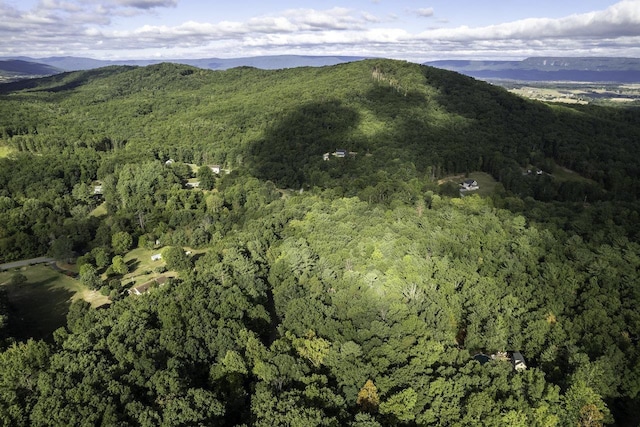 LOTD3 Holiday Hill Rd, Luray, VA 22835