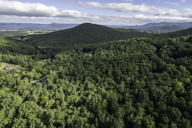 LOTD3 Holiday Hill Rd, Luray, VA 22835
