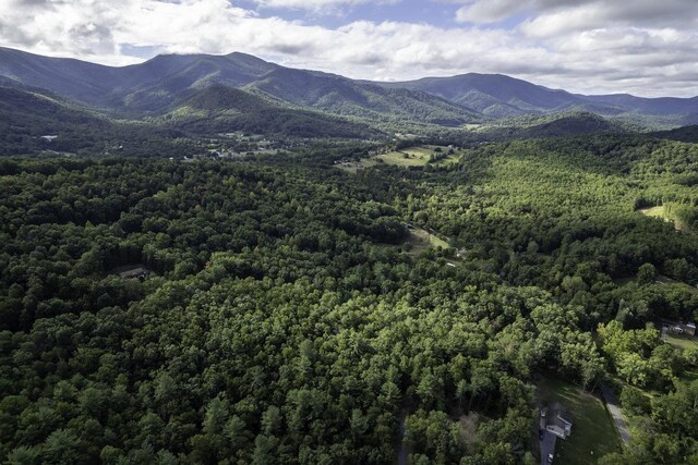 LOTD3 Holiday Hill Rd, Luray, VA 22835