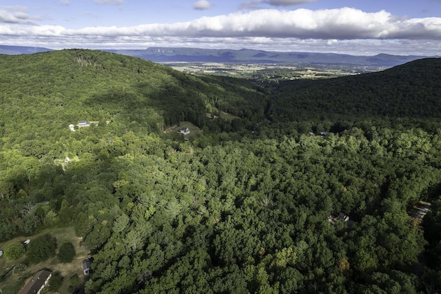 LOTD3 Holiday Hill Rd, Luray, VA 22835