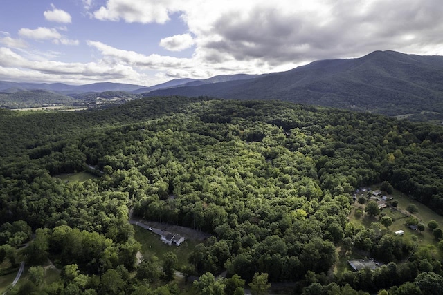 LOTD3 Holiday Hill Rd, Luray, VA 22835