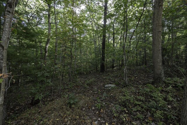LOTD3 Holiday Hill Rd, Luray, VA 22835