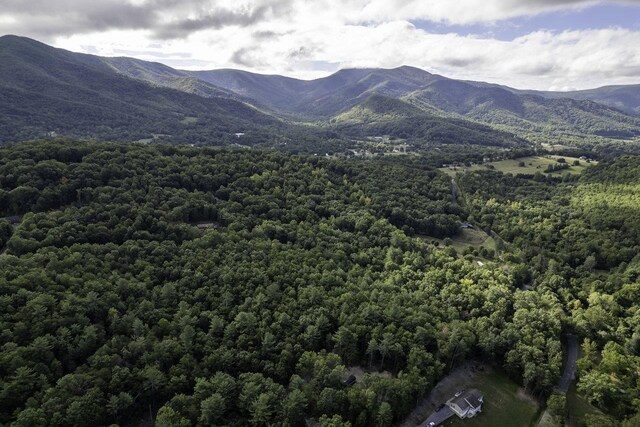 LOTD3 Holiday Hill Rd, Luray, VA 22835