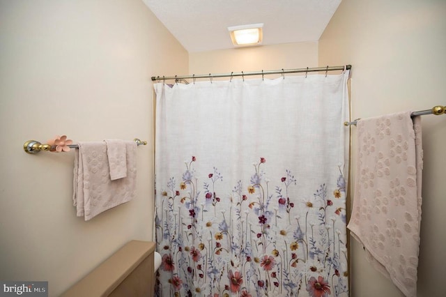 127 Gold Rush Dr, Locust Grove, VA 22508 - full bath with toilet and a shower with curtain