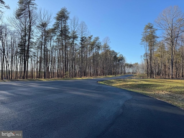 55 Buckners Ln, Compass Cove At Lake Anna Mineral, VA 23117 - photo 6