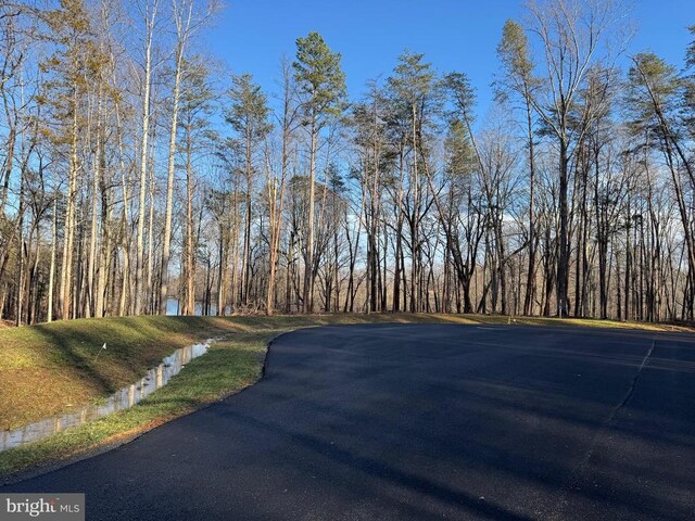 55 Buckners Ln, Compass Cove At Lake Anna Mineral, VA 23117 - photo 8