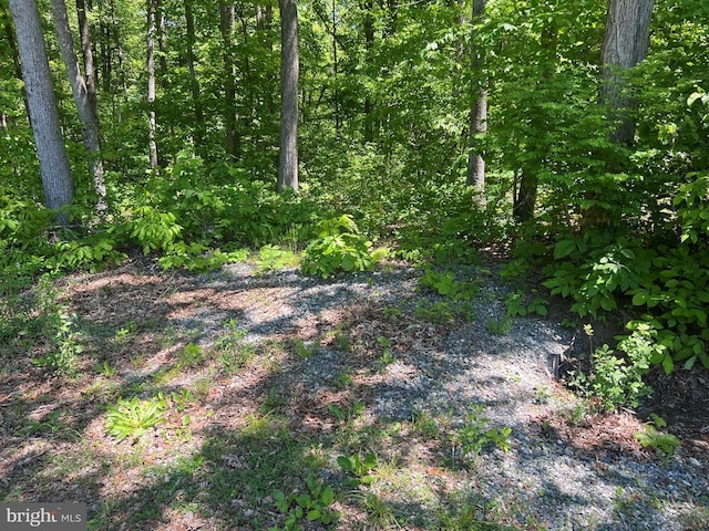 Thelma Ln, Mineral, VA 23117