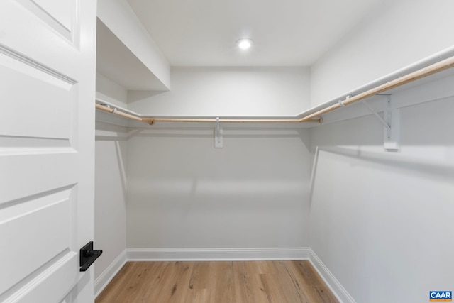 43 Farrow Cir, Charlottesville, VA 22901 - spacious closet with light wood finished floors