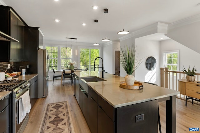 43 Farrow Cir, Charlottesville, VA 22901 - kitchen featuring appliances with stainless steel finishes, ornamental molding, a sink, a kitchen island with sink, and light wood-type flooring