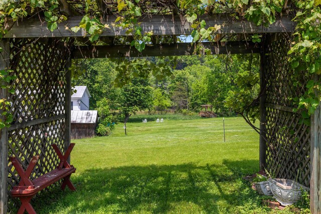 887 Natural Chimneys Rd, Mount Solon, VA 22843 - view of grassy yard