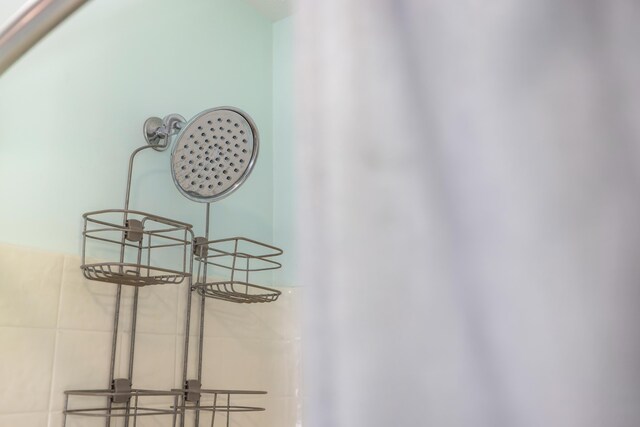 887 Natural Chimneys Rd, Mount Solon, VA 22843 - bathroom view of a shower
