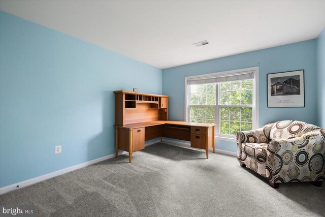  - home office featuring carpet floors and baseboards