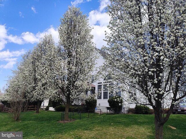  - view of yard
