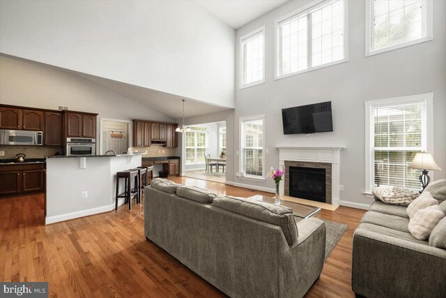  - living area featuring high vaulted ceiling, wood finished floors, a fireplace with flush hearth, and baseboards