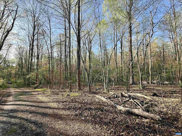 4320 Ironwood Trl, Columbia, VA 23038