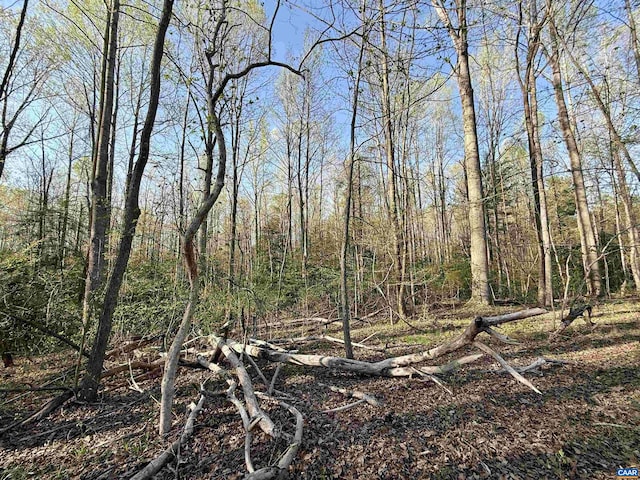 4320 Ironwood Trl, Columbia, VA 23038