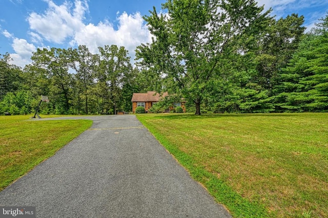 3716 Martin Kings Rd, Charlottesville, VA 22902 - view of front facade featuring a front lawn