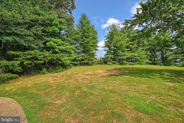 3716 Martin Kings Rd, Charlottesville, VA 22902 - view of green lawn