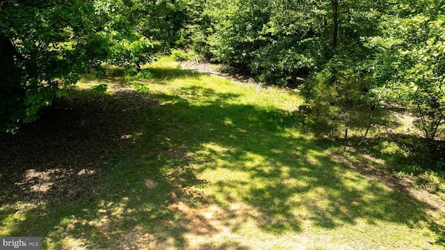 3716 Martin Kings Rd, Charlottesville, VA 22902 - view of grassy yard