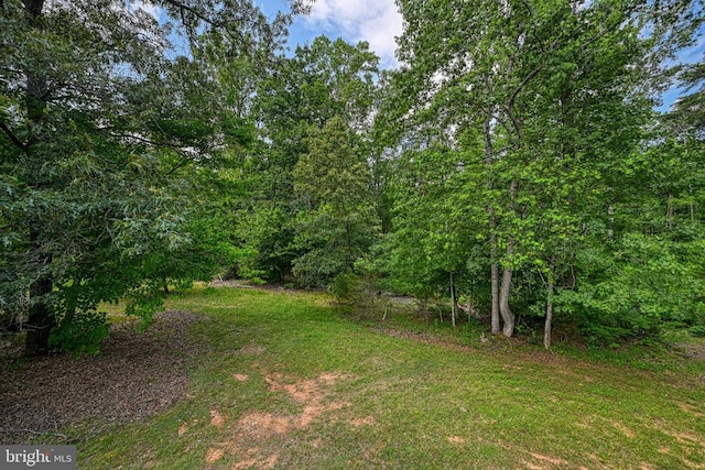 3716 Martin Kings Rd, Charlottesville, VA 22902 - view of grassy yard