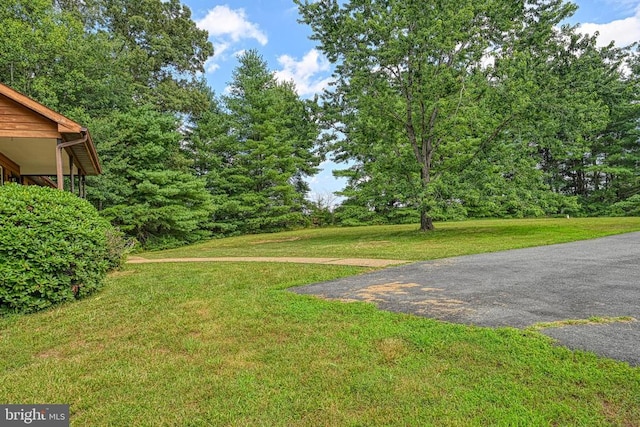 3716 Martin Kings Rd, Charlottesville, VA 22902 - view of green lawn