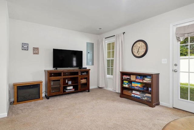 301 Willowshire Ct, Waynesboro, VA 22980 - carpeted living area with electric panel and baseboards