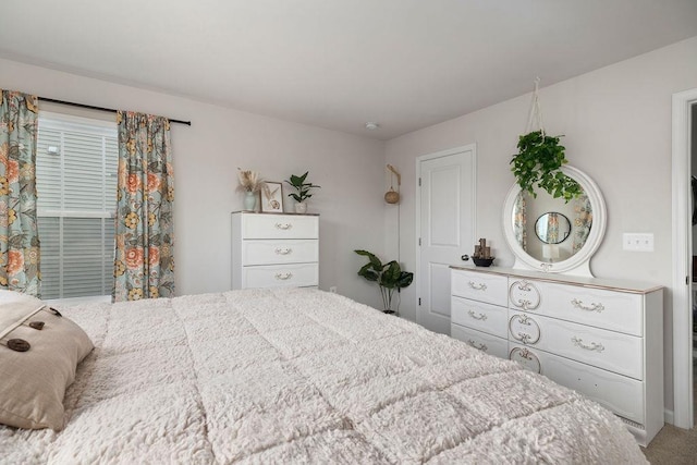301 Willowshire Ct, Waynesboro, VA 22980 - bedroom featuring carpet