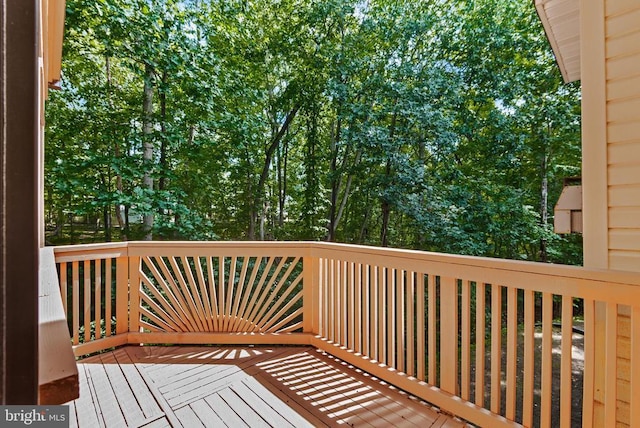 4303 Wickham Ct, Fredericksburg, VA 22408 - photo 18
