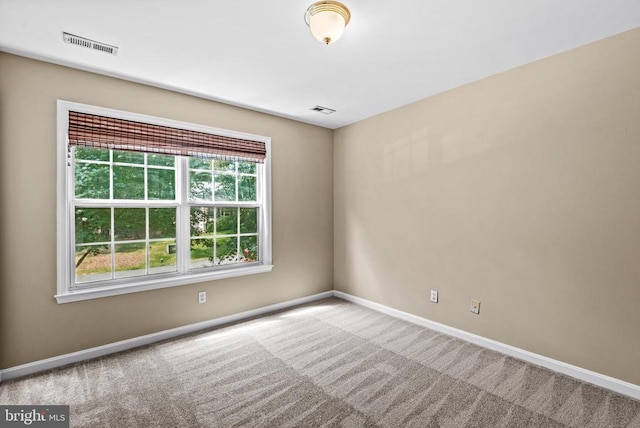 4303 Wickham Ct, Fredericksburg, VA 22408 - photo 32