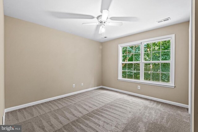 4303 Wickham Ct, Fredericksburg, VA 22408 - photo 34
