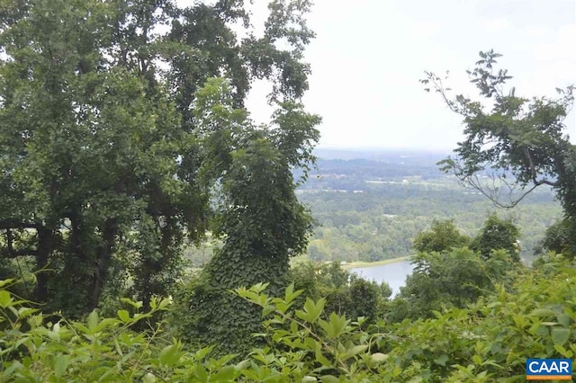 19 Top Ridge Rd, Stanardsville, VA 22973 - photo 2