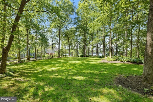 5036 Corsair Ter, Mineral, VA 23117 - view of green lawn