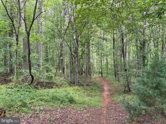 319 Fox Hunters Ln, Madison, VA 22727 - view of wooded area
