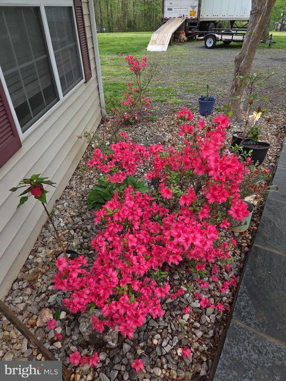319 Fox Hunters Ln, Madison, VA 22727 - view of yard