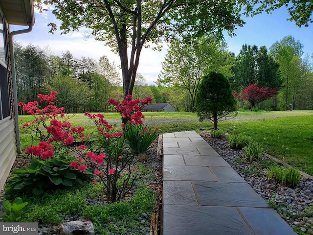 319 Fox Hunters Ln, Madison, VA 22727 - view of grassy yard
