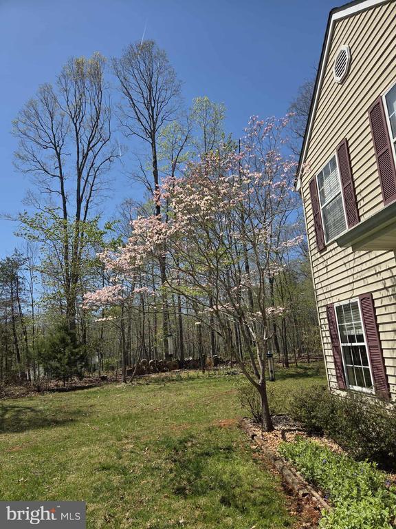 319 Fox Hunters Ln, Madison, VA 22727 - view of green lawn