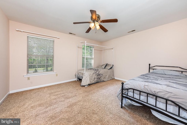 319 Fox Hunters Ln, Madison, VA 22727 - bedroom featuring baseboards and carpet