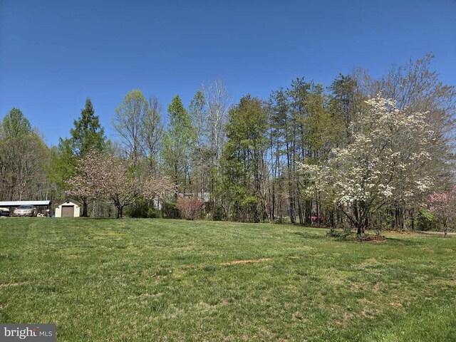 319 Fox Hunters Ln, Madison, VA 22727 - view of green lawn
