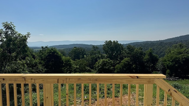 13542 Senedo Rd, Mount Jackson, VA 22842 - photo 6