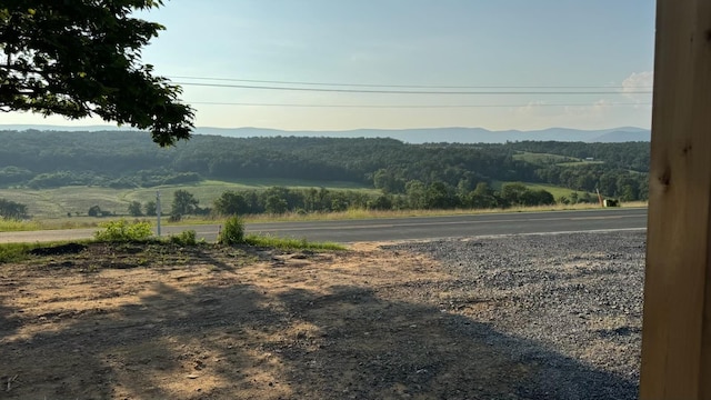 13542 Senedo Rd, Mount Jackson, VA 22842 - photo 7