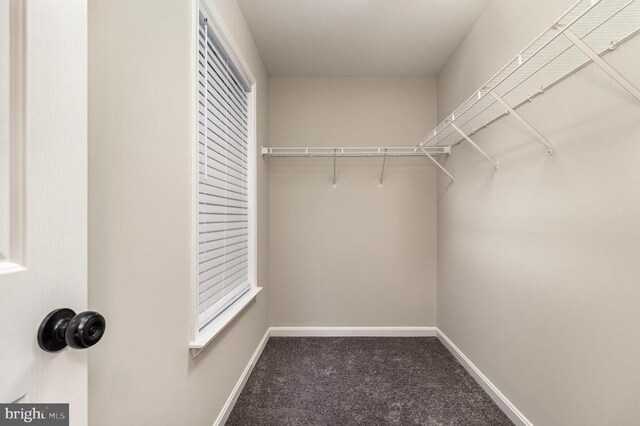 3605 Burton Rd, Bumpass, VA 23024 - photo 27