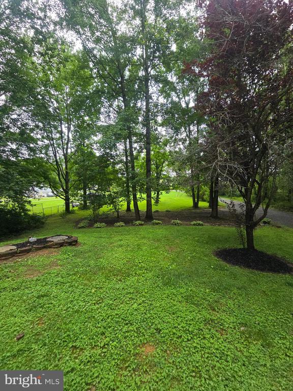 3605 Burton Rd, Bumpass, VA 23024 - photo 42