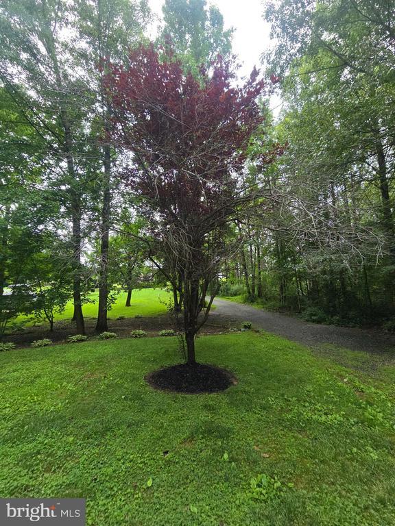 3605 Burton Rd, Bumpass, VA 23024 - photo 43