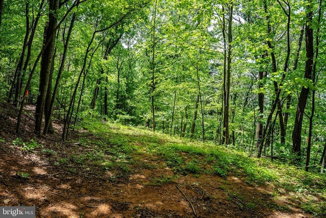 0 Helms Rd, Stanley, VA 22851