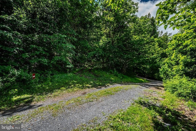 0 Helms Rd, Stanley, VA 22851
