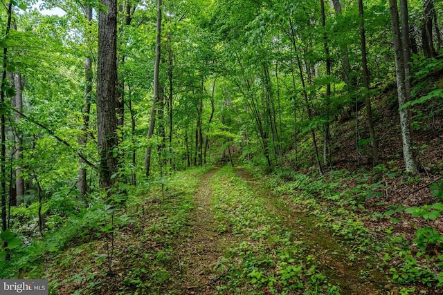 0 Helms Rd, Stanley, VA 22851