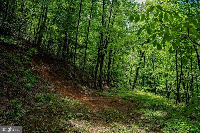 0 Helms Rd, Stanley, VA 22851