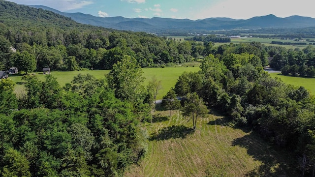 0 Harper Valley Rd, Luray, VA 22835 - photo 17